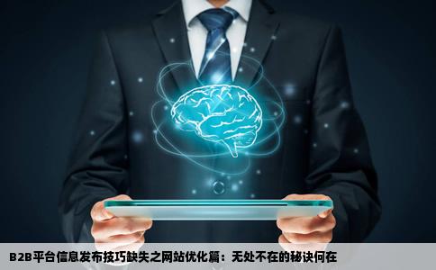到处是网站优化帖B2B平台信息发布技巧怎么没见
