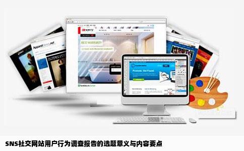 sns社交网站用户行为调查报告的选题意义和内容要点怎么写