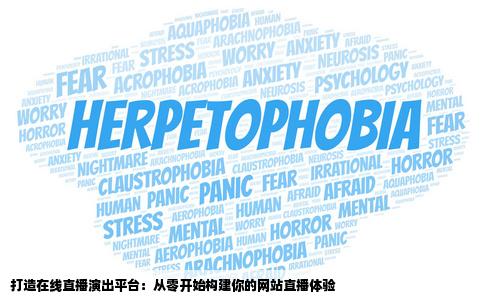 我想做个网站在网站上直播演出怎么做