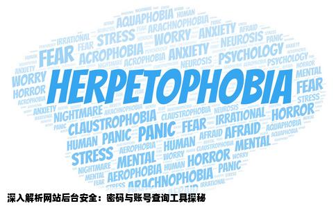 知道网站后台但是不知道用什么工具查它的密码和账号高手看下