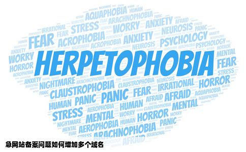 急网站备案问题怎么增加多个域名