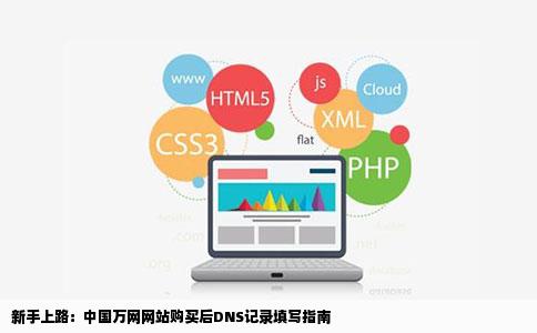 刚在中国万网买了个网站但不会填DNS记录望高手帮填下