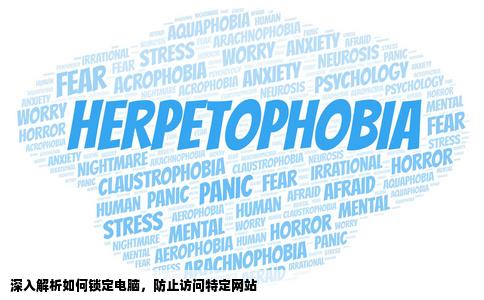 怎样才能锁定电脑让这台电脑上不了某网站