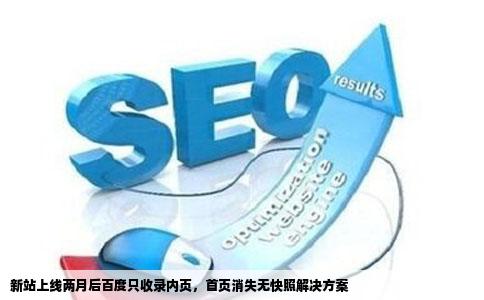 新站上线两个多月百度突然只收录内页首页现在没见了快照也是建站