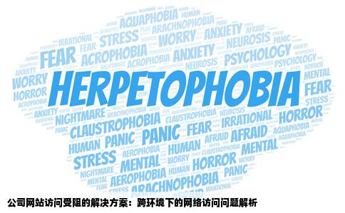 有些网站公司里打不开人家也打不开但是家里就可以打开怎么办