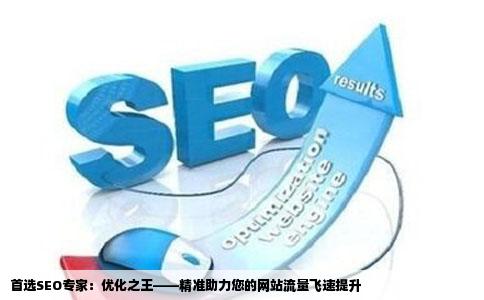最专业最好的SEO网站优化建设公司有