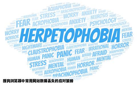 搜狗浏览器中的常用网站数据丢失我用的是网络账户