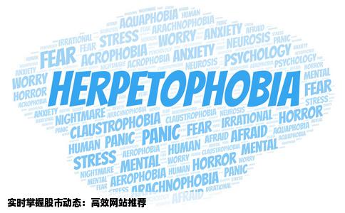 可以进入那些网站能准确快速的知道股票现况