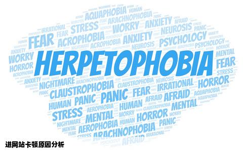 为什么进网站好卡