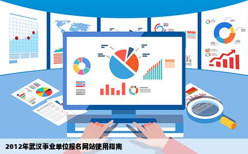 求2012年武汉事业单位报名网站