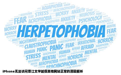 为什么我的iPhone不能上晋江文学城的网而其他网站都可以我的