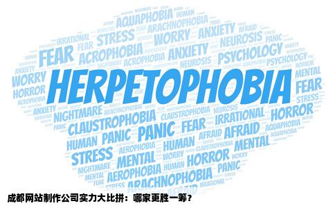 成都网站制作公司哪家好