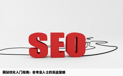 网站优化该如何入手没有经过系统学习