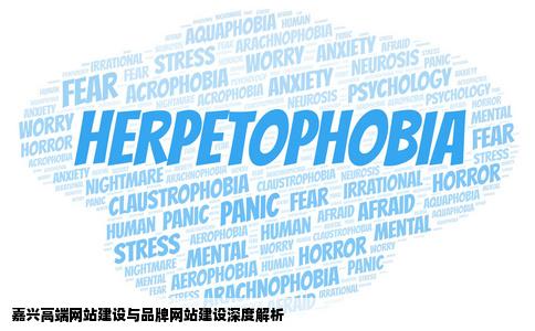 嘉兴高端网站建设品牌网站建设