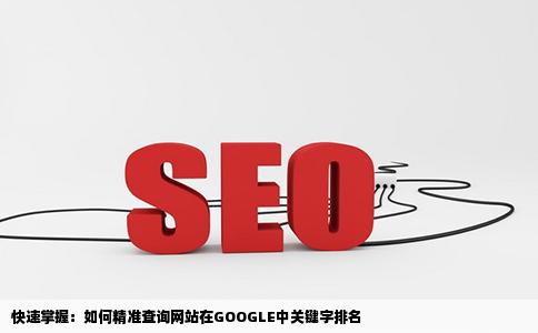 怎么查询自己的网站在GOOGLE中关于某个关键字的排名
