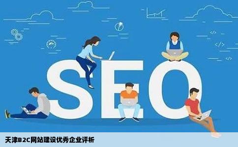 天津B2C网站建设哪家好