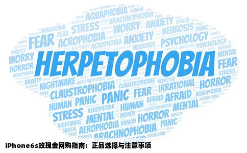 iPhone6s玫瑰金在上网买要注意什么哪个网站更正品