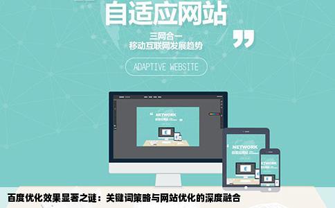 为什么我在做网站优化的时候百度的优化效果比较好有很多关键词