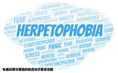 从事电子商务网站运营和营销对物流知识的要求怎样谢谢