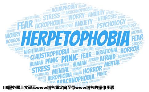 如何把网站不带www的域名转向带www的域名在iis服务器上