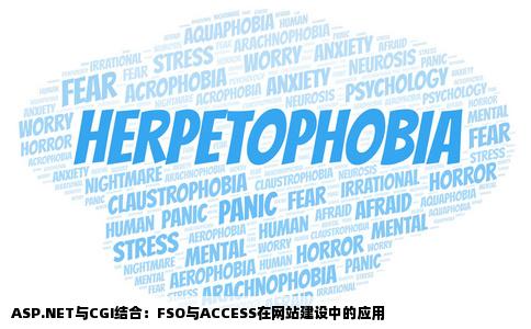 ASPCGIASPNETFSOACCESS用什么做网站