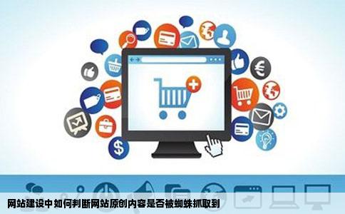 网站建设中如何判断网站原创内容是否被蜘蛛抓取到
