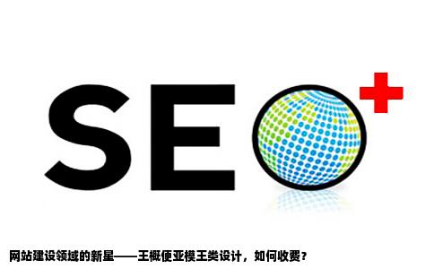 网站建针王概便啊亚模王类设如何收费