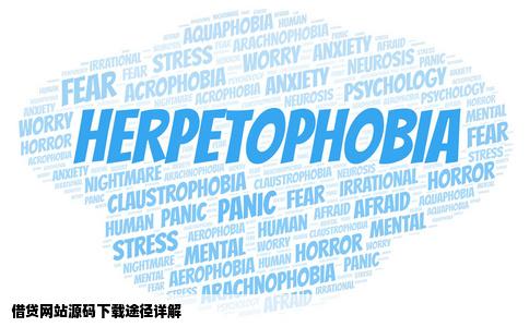 下载借贷网站源码到哪下载