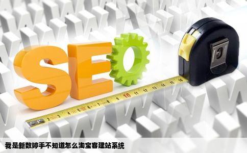我是新数婷手不知道怎么淘宝客建站系统