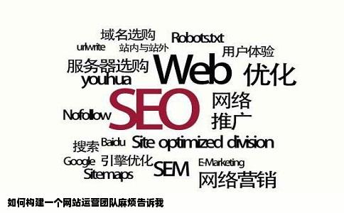 如何构建一个网站运营团队麻烦告诉我