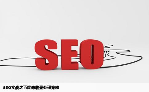 SEO实战网站不被百度收录怎么办