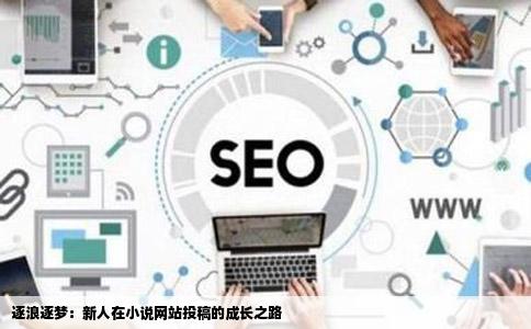 请各位大神帮个忙我是新人在很多小说网站投了小说稿子其中逐浪