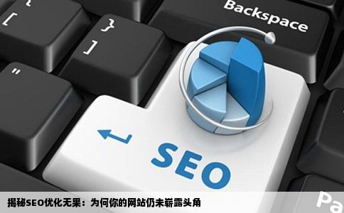 一直在做SEO优化为什么网站还是没排名