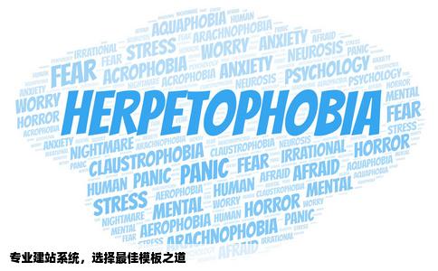 哪家建站系统的模板比较好