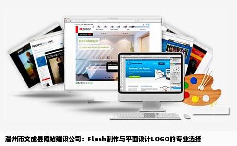 温州市文成县哪里有网站建设公司制作flash跟平面设计LOGO的或者