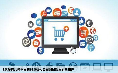 s家好有几种不同的SEO优化公司网站搜索引擎用户