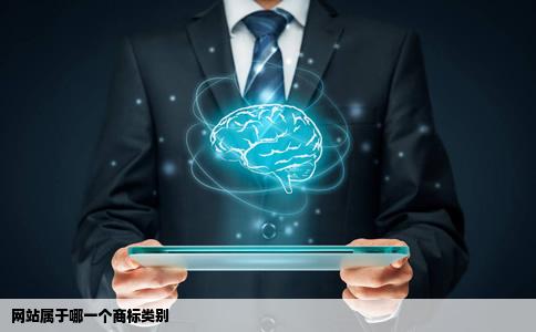 网站属于哪一个商标类别