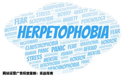 如何做好网站运营中的广告投放