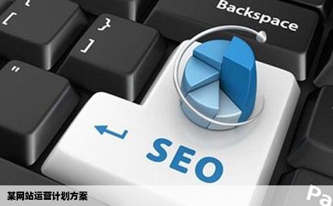 某网站运营计划方案