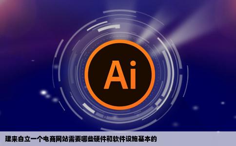 建来自立一个电商网站需要哪些硬件和软件设施基本的