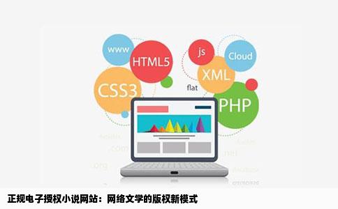 有什么小说网站是只需要电子授权的不用在给小说网站版权