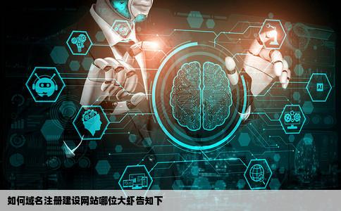 如何域名注册建设网站哪位大虾告知下