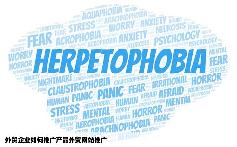外贸企业如何推广产品外贸网站推广