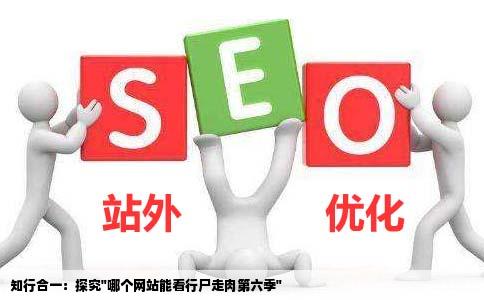 哪个网站可以看行尸走肉第六季