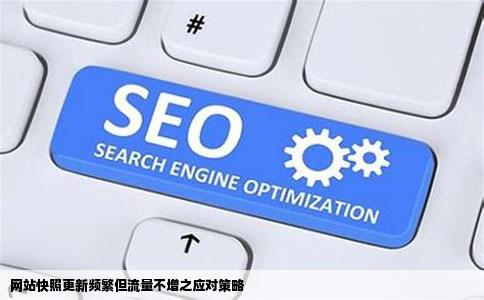 网站有快照每天坚持更新没流量肿么办