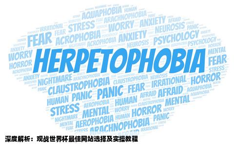 在线看世界杯哪网站好给个地址