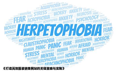 服装销售网站建设如何建啊我们是开服装店的想建个网站网上销售