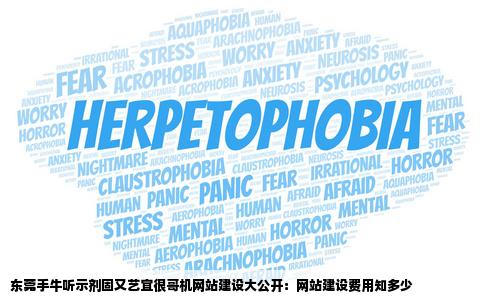 东莞手牛听示剂固又艺宜很哥机网站建设大概怎么收费