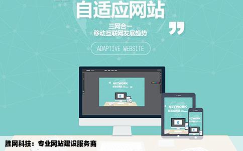 胜网科技是不是网站建设公司