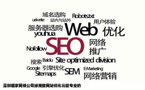 深圳哪家网络公司掉南做网站优化比较专业的